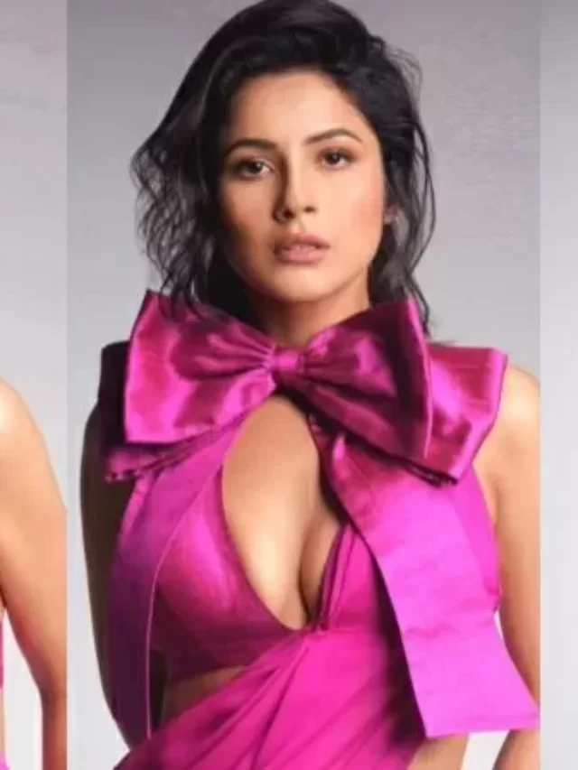 Shehnaaz Gill Bold Photoshoot in Pink Saree Shocked Fans